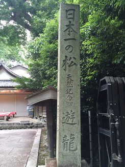 日本一の松の碑