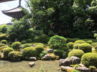 円応院の庭園