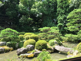 円応院の庭園